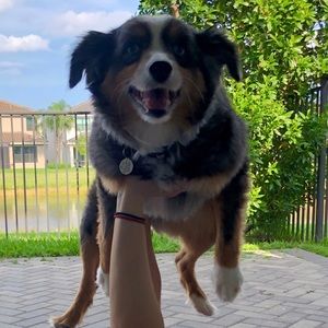 Meet your Posher, Tova